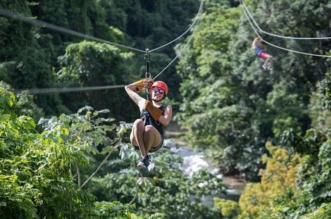 Zipline Adventure in Punta Cana – Thrilling Canopy Experience - Group Size, Crowds, and Why This Tour Feels Manageable