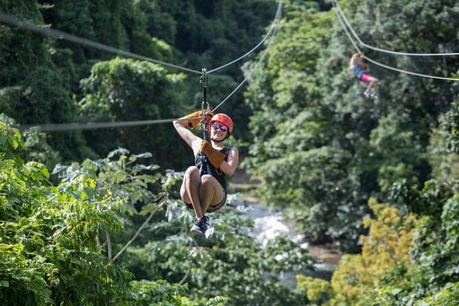 Zipline Adventure in Punta Cana – Thrilling Canopy Experience - Who This Zipline Adventure Fits Best