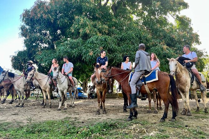 Zipline,Dune Buggy,Horse Riding - Horseback riding through cocoa country and a typical Dominican home stop